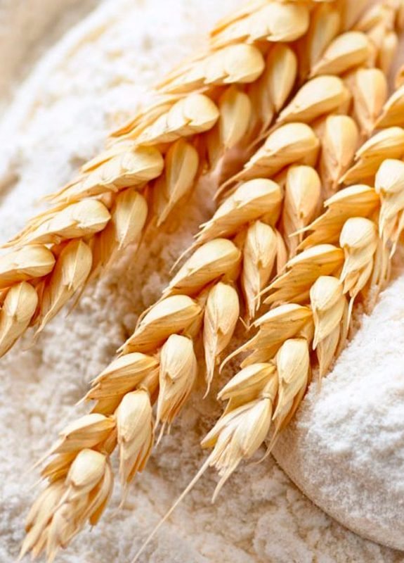 wheat-flour