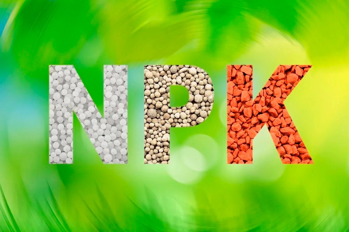 npk-fertilizante